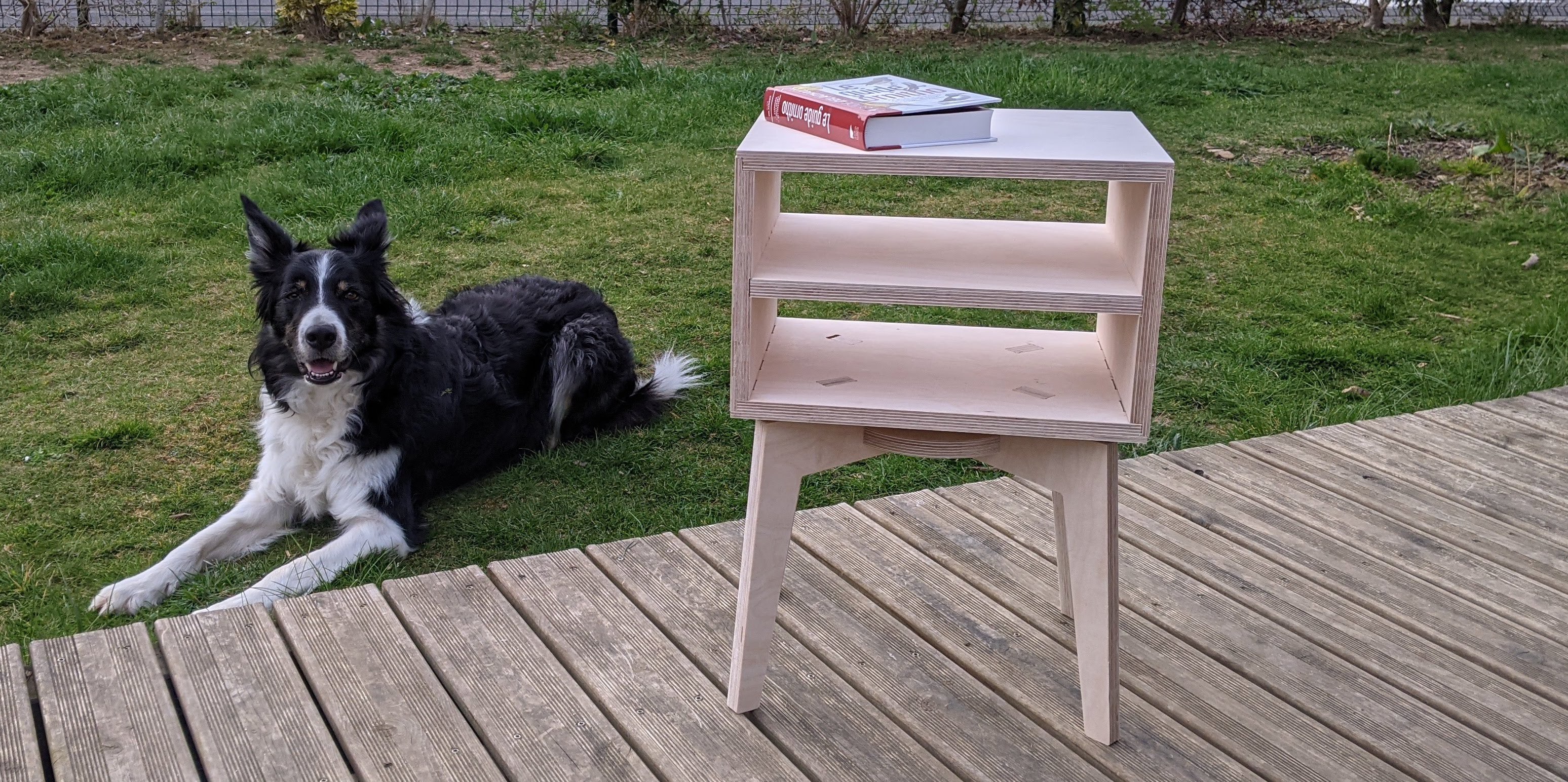 My dog and the bedside table